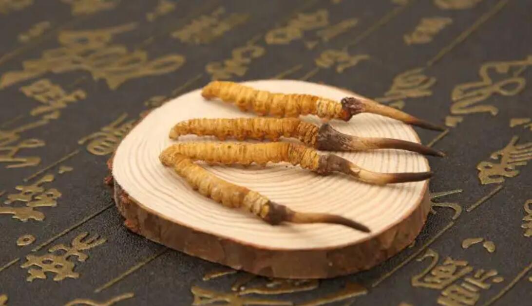 我在西藏那曲挖蟲(chóng)草：1根只要10塊錢(qián)？