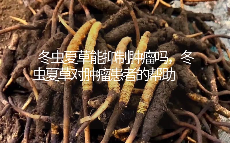 冬蟲夏草能抑制腫瘤嗎？冬蟲夏草對腫瘤患者的幫助