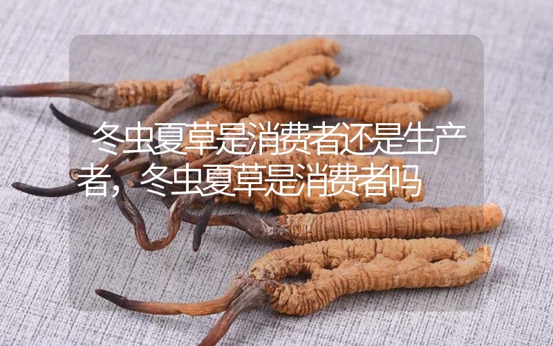 貧血吃冬蟲夏草有效果嗎，貧血虛弱者可以用冬蟲夏草嗎？