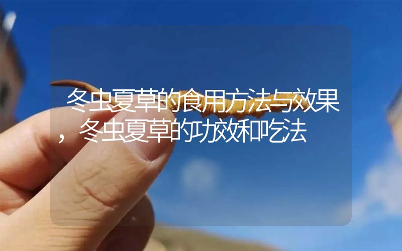 冬蟲(chóng)夏草的食用方法與效果，冬蟲(chóng)夏草的食用方法！