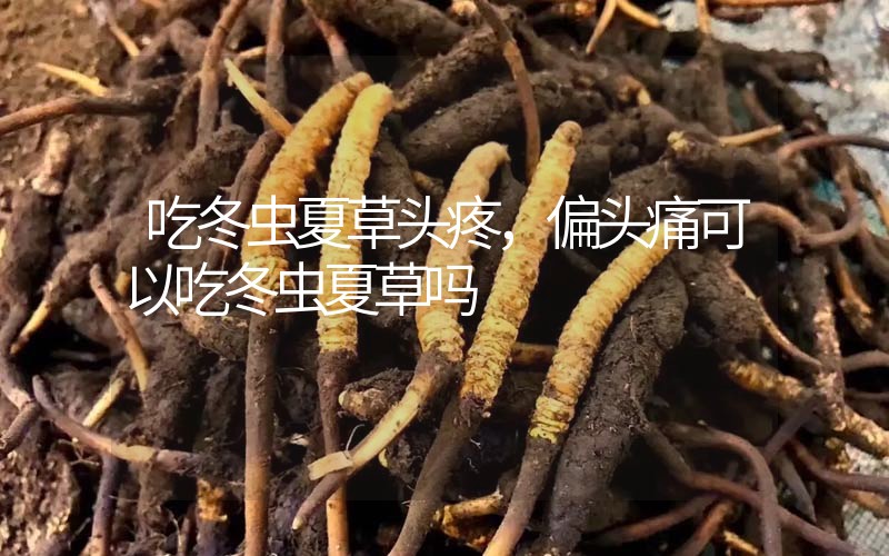 頭疼可以吃冬蟲(chóng)夏草嗎?偏頭痛可以吃冬蟲(chóng)夏草嗎?