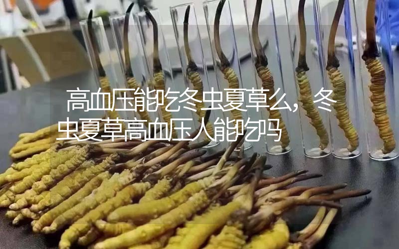 高血壓能吃冬蟲夏草么，冬蟲夏草高血壓人能吃嗎