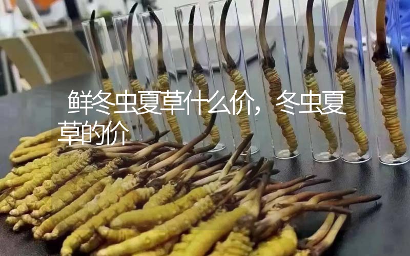鮮冬蟲(chóng)夏草什么價(jià)，冬蟲(chóng)夏草的價(jià)格