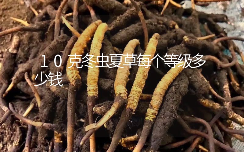 10克冬蟲夏草每個等級多少錢？
