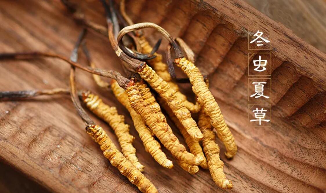 什么時候吃冬蟲夏草作用最好,冬蟲夏草何時吃效果最好
