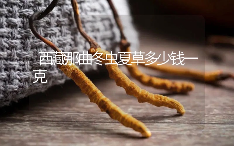 西藏那曲冬蟲(chóng)夏草多少錢(qián)一克？