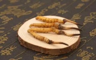 送禮送健康高檔冬蟲(chóng)夏草送禮該如何選？