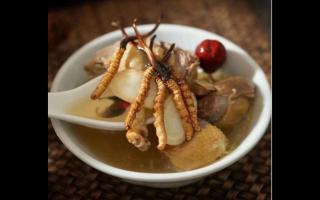 藏民來(lái)分享冬蟲(chóng)夏草的三種吃法！
