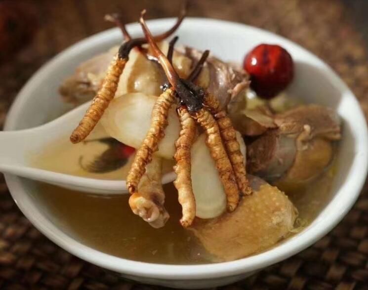 冬蟲(chóng)夏草可以飯后吃嗎？