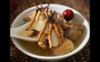 冬蟲夏草排骨冬瓜湯