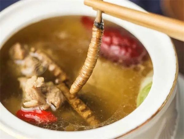 冬蟲夏草和阿膠搭配一起的吃法