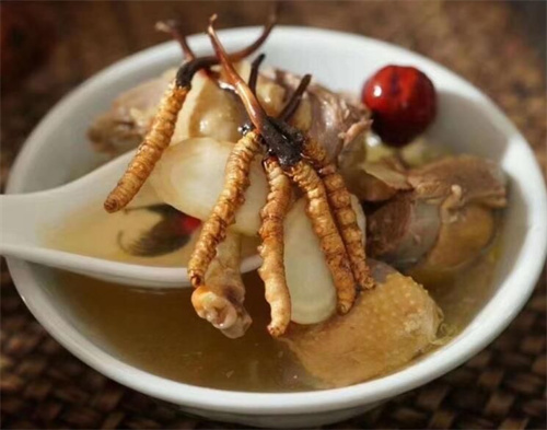 瑪咖和冬蟲(chóng)夏草可以一起吃嗎？