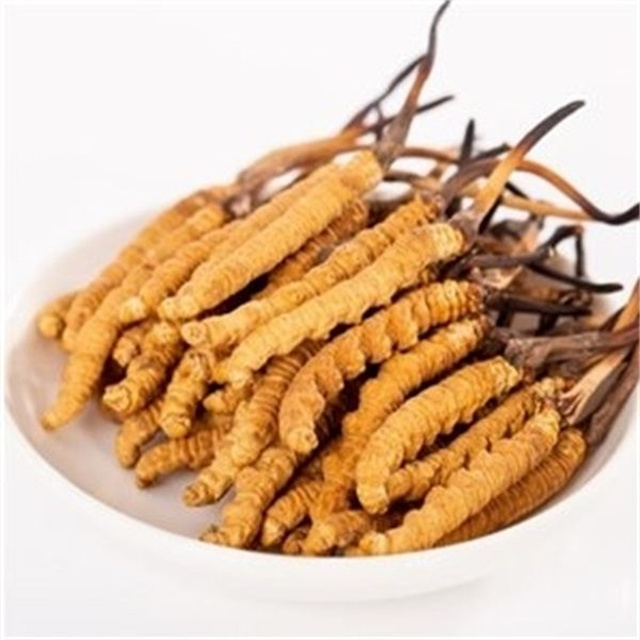 真的冬蟲(chóng)夏草什么價(jià)格？冬蟲(chóng)夏草價(jià)格的波動(dòng)與市場(chǎng)影響因素