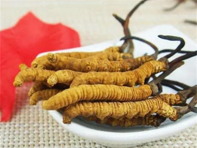 產(chǎn)后冬蟲夏草怎么吃？產(chǎn)后冬蟲夏草的3種食用方法