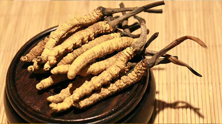 未來冬蟲夏草會漲價嗎？
