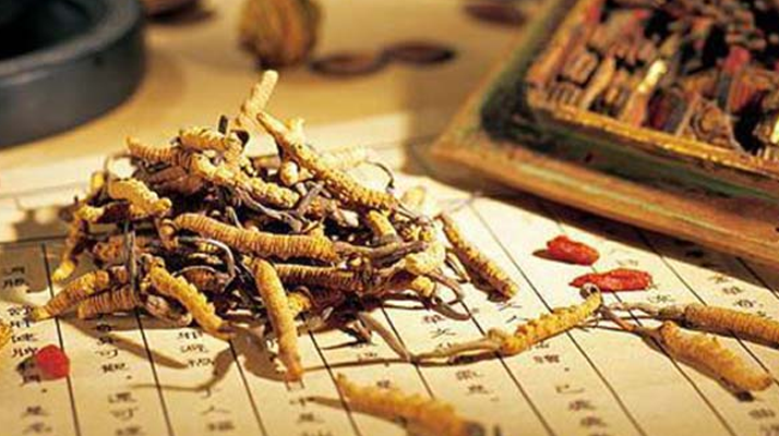 同仁堂健康冬蟲(chóng)夏草：傳承品質(zhì)，饋贈(zèng)健康