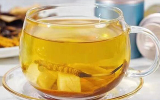 新鮮冬蟲(chóng)夏草能泡茶嗎？一文讀懂養(yǎng)生新方式